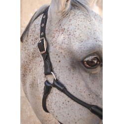 Cabezada Harcour Honey Negro