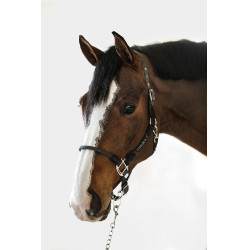 Cabezada Harcour Honey Gris oscuro