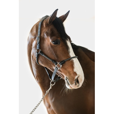 Cabezada Harcour Honey Gris oscuro