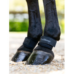 Protectores de menudillos LeMieux de neopreno Negro