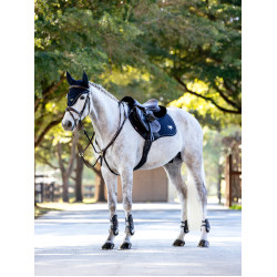 Almohadilla de montar LeMieux CC Puissance Ante Marino Azul marino Almohadilla de montar LeMieux CC Puissance Ante Marino Azul marino