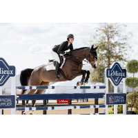 Almohadilla de montar LeMieux CC Puissance Ante Blanco