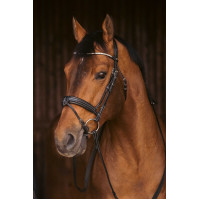 Cabezada de montar PENELOPE - Daily Strass Negro