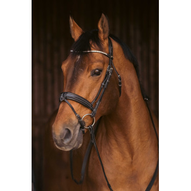 Cabezada de montar PENELOPE - Daily Strass Cabezada de montar PENELOPE - Daily Strass