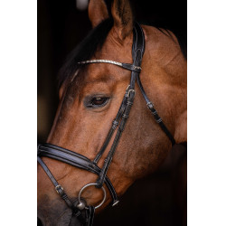 Cabezada de montar PENELOPE - Daily Strass Negro