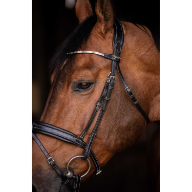 Cabezada de montar PENELOPE - Daily Strass Cabezada de montar PENELOPE - Daily Strass