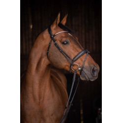 Cabezada de montar PENELOPE - Daily Strass Negro