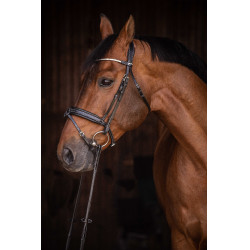 Cabezada de montar PENELOPE - Daily Strass Negro