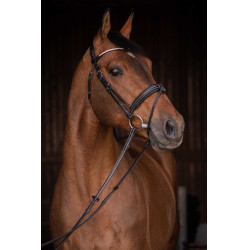 Cabezada de montar PENELOPE - Daily Strass Negro