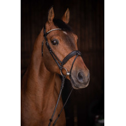 Cabezada de montar PENELOPE - Daily Strass Negro