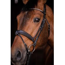 Cabezada de montar PENELOPE - Daily Strass Negro