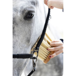 Cabezada de grooming ProConfort Dialou Negro