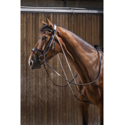 Chambon Eric Thomas Pro Negro