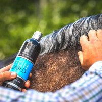 Loção suave Carr & Day & Martin Itchgard