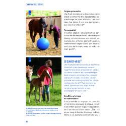 Comportamientos y posturas