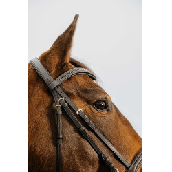 Cabezada de montar NORTON CLUB Strass V Negro Cabezada de montar NORTON CLUB Strass V Negro