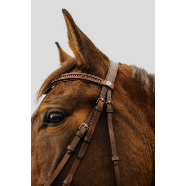 Cabezada de montar NORTON CLUB Strass V Havana Marrón