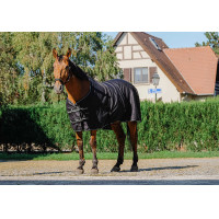 Camisa brillante Riding World Negro