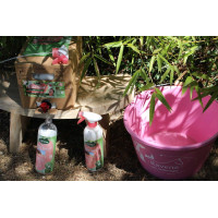 Easy Shine Ravene Recarga ecológica Easy Shine Ravene Recarga ecológica