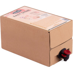 Easy Shine Ravene Recarga ecológica