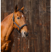 Cabezada de nailon Equithème Domino Cobre Marrón