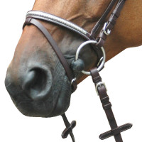 Cabezada cierraboca Deauville