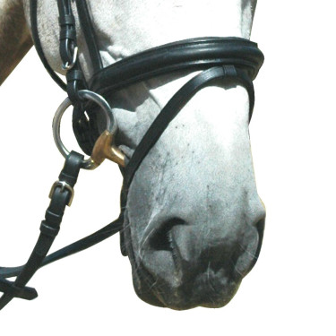 Cabezada Pull Back Le Touquet