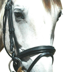 Cabezada Pull Back Le Touquet