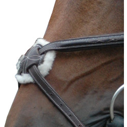 Cabezada Royan Cruz Privilege Equitation