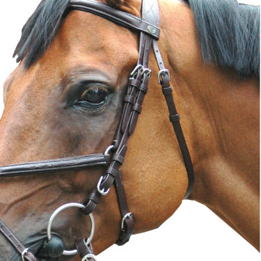 Cabezada Royan Cruz Privilege Equitation