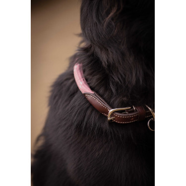 Collar para perro Penelope Billie Collar para perro Penelope Billie