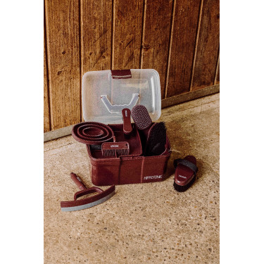 Caja de limpieza HIPPOTONIC - Purpurina