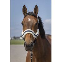 Cabezada de cuadra EQUITHÈME Nylon Mouton marine/blanc Azul Cabezada de cuadra EQUITHÈME Nylon Mouton marine/blanc Azul