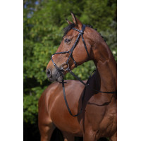 Cabezada Riding World muserola mejicana Negro