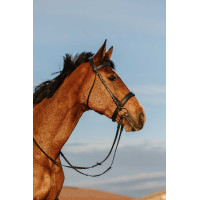 Cabezada de montar RIDING WORLD Muserola ancha Negro