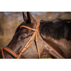 Cabezada PENELOPE Elegance Coñac Marrón