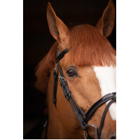 Birdon Oxford Performance Pénélope Negro