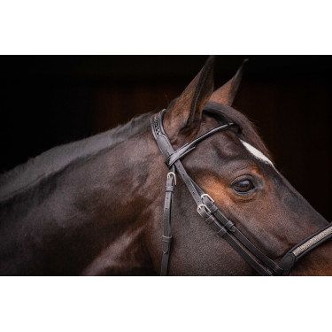 Cabezada PENELOPE - Symphonie SR - Negro