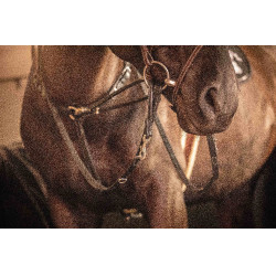 Riendas Pénélope Howlett Negro