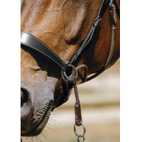 Brida sin bocado Norton Havana Marrón