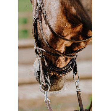 Brida sin bocado Norton Havana Marrón