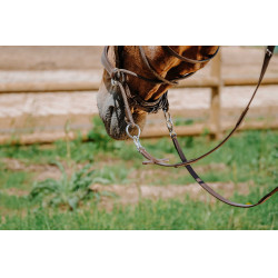 Brida sin bocado Norton Havana Marrón