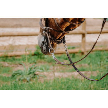 Brida sin bocado Norton Havana Marrón