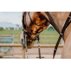 Brida sin bocado Norton Havana Marrón