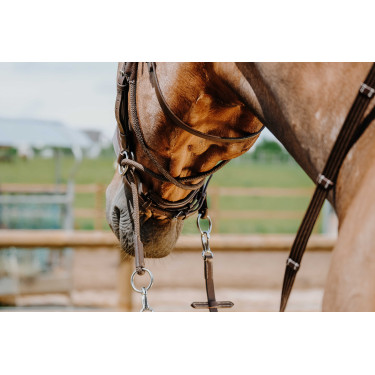 Brida sin bocado Norton Havana Marrón