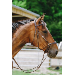 Brida sin bocado Norton Havana Marrón