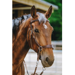 Brida sin bocado Norton Havana Marrón