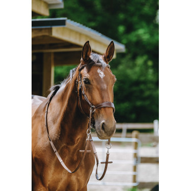 Brida sin bocado Norton Havana Marrón