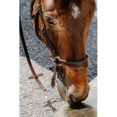 Brida sin bocado Norton Havana Marrón