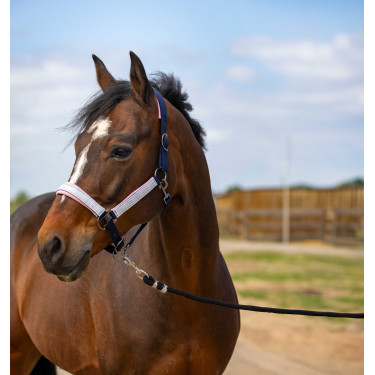 Cabezada de cuadra EQUITHÈME Nylon Check Cabezada de cuadra EQUITHÈME Nylon Check